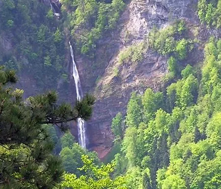 Campo de lujo Sutjeska Glamping Domes *