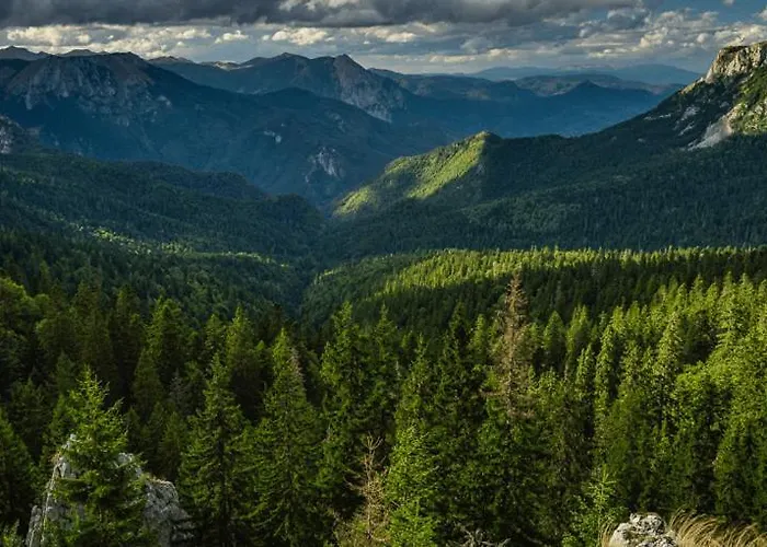 Sutjeska Glamping Domes *