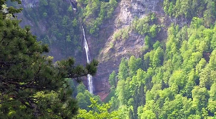 Luxe tent Sutjeska Glamping Domes *